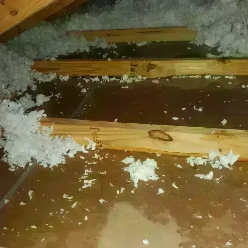 Attic Water Damage in Childersburg, AL