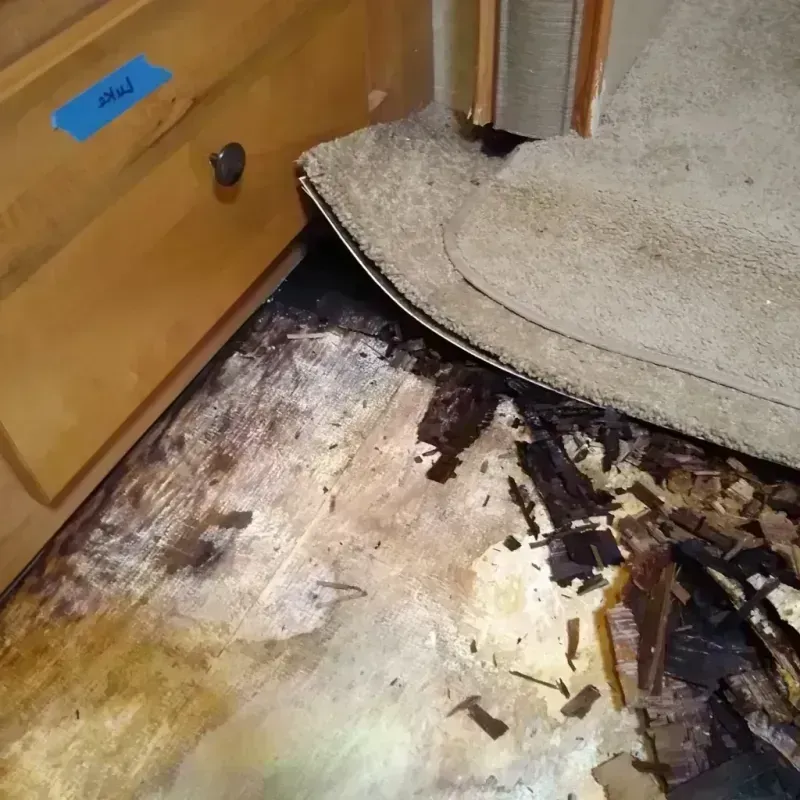 Best Wood Floor Water Damage Service in Childersburg, AL